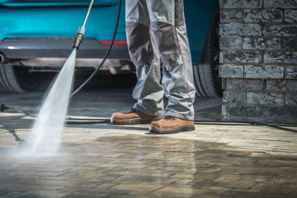 Best Dumpster Area Cleaning  in Douglas, MI